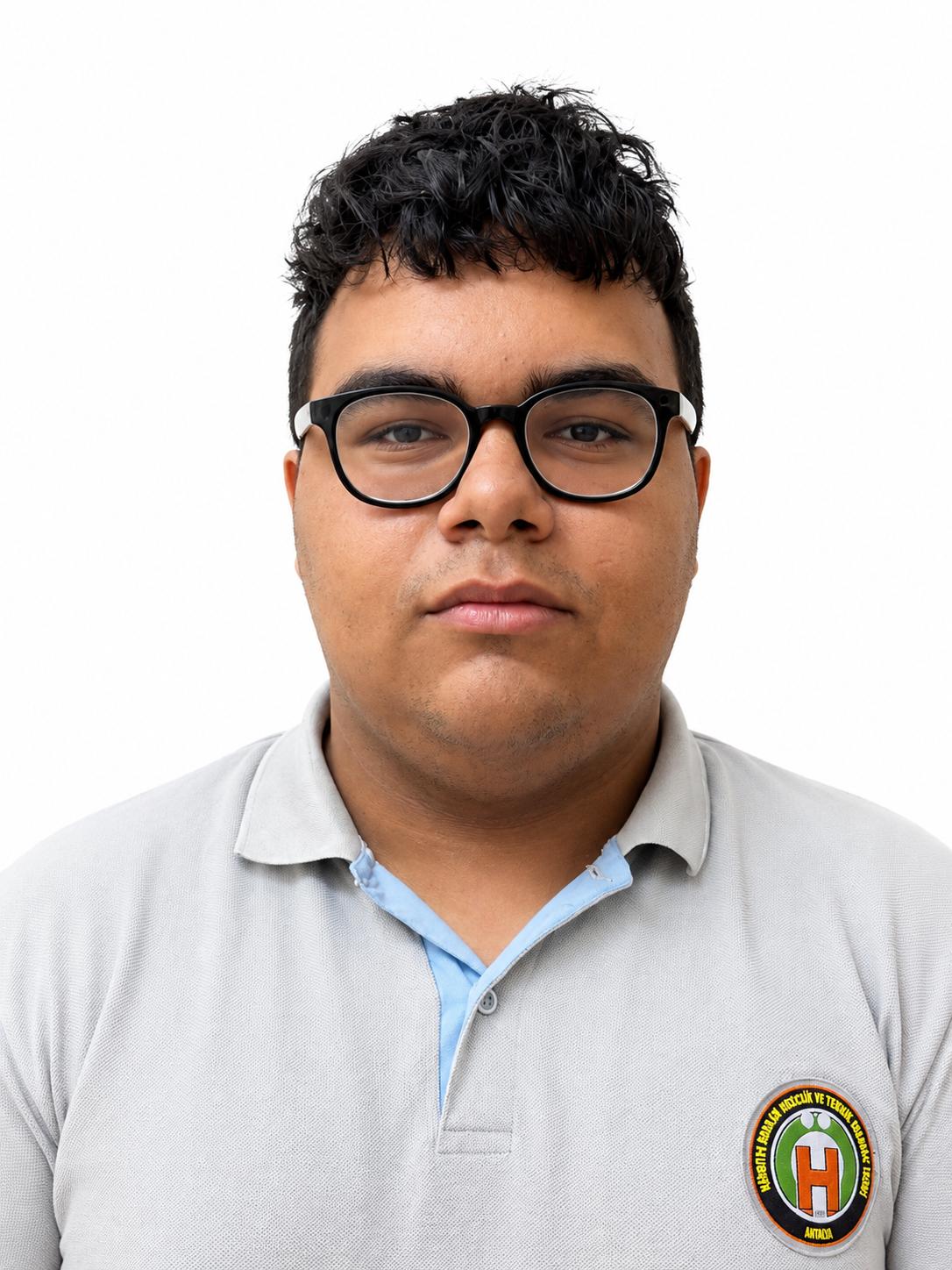 Yiğit Şahin Yerli